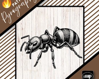 Ant Pyrography Template Pattern for Wood Burning Art