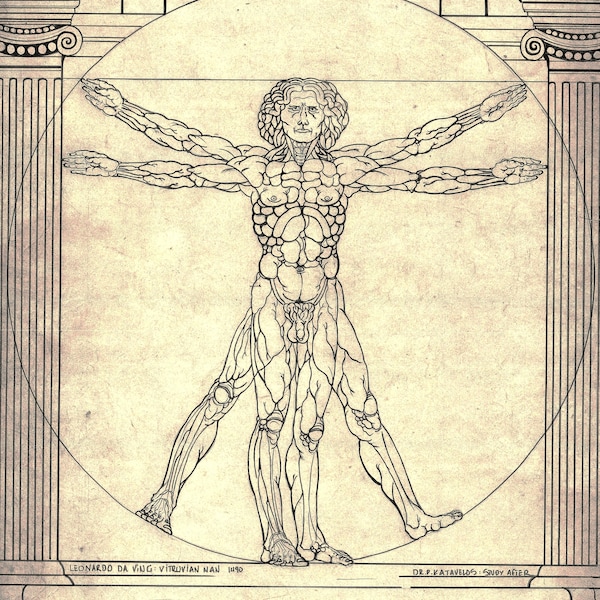 vitruvian man, Leonardo Da vinci, study after, digital download, anatomical drawing, rennaisance , vintage, baroque style, human proportion.