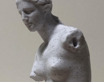Venus de Milo – 3D Printed Sculpture