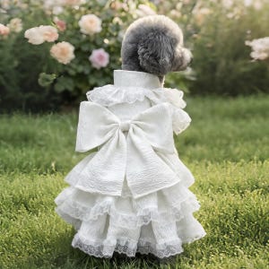 formal dress for dogs This item is unavailable GL-03.26.25