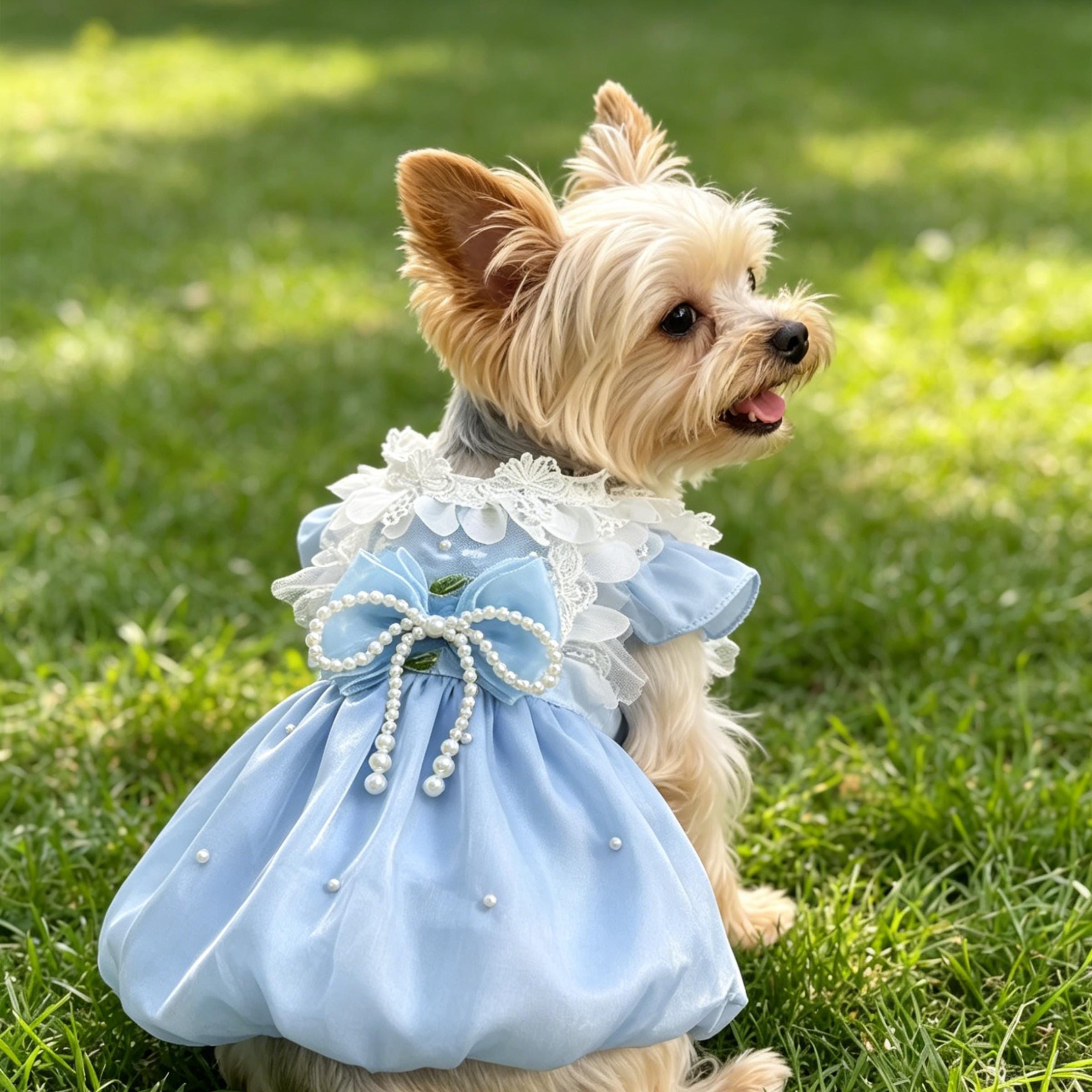 Blue Dog Dress