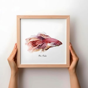 May include: A framed watercolour print of a betta fish, featuring red, pink, and white hues. The fish has flowing fins and is set against a white backdrop. The text "Mrs. Paulie" is printed beneath the fish, adding a personal touch.