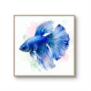 May include: Watercolor painting of a vibrant blue Betta fish with flowing fins. The fish is set against a white background with soft pink and green watercolor splashes, framed in a light wood frame.