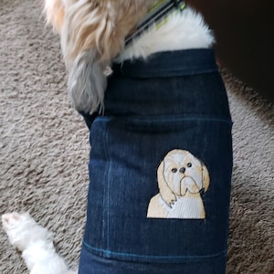 Boy Jean Jacket