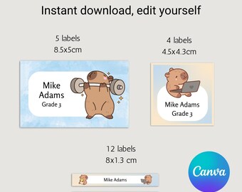 Kawaii Capybara School Name Labels – Cute Kawaii Capybara Sticker Set – Pastel Donut & Laptop Designs – Printable Name Tags for Kids