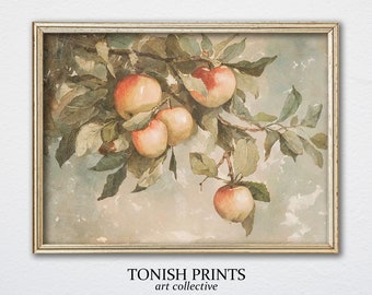 Apple Tree | Vintage Apple Tree Print | Rustic Farmhouse Kitchen Decor Painting PRINTABLE  #052