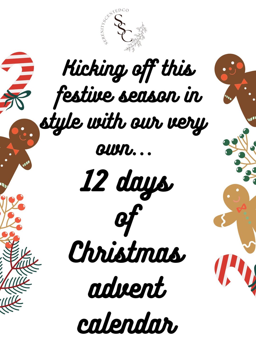 12 Days of Christmas Advent Calendar Etsy