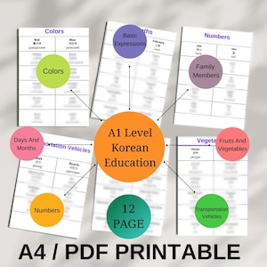 Korean Language Learning Workbook | Printable Worksheets Template | Hangul Study Pack | Practice Book | Korean Beginners Level Study Kit