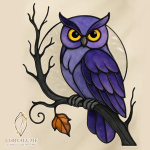 May include: Stained glass owl art in shades of purple, perched on a black branch with a single orange leaf. The owl has yellow eyes and is set against a white circular background. The artwork is labeled "CHRYALUME STAINED GLASS PATTERNS".