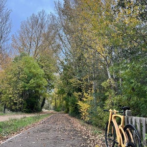 May include: A wooden bicycle leans against a wooden fence on a paved path covered in fallen leaves. The bike has a unique frame design and black tires. Trees with yellow and green foliage line the path under a cloudy sky.