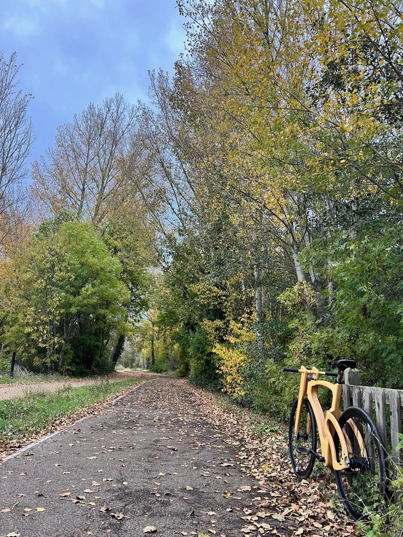 May include: A wooden bicycle leans against a wooden fence on a paved path covered in fallen leaves. The bike has a unique frame design and black tires. Trees with yellow and green foliage line the path under a cloudy sky.