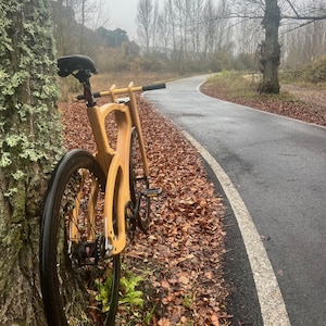 May include: A wooden bicycle with black tires and components leans against a tree. The bike has a unique frame design and is positioned next to a paved road with fall foliage. The scene is set outdoors on a cloudy day.