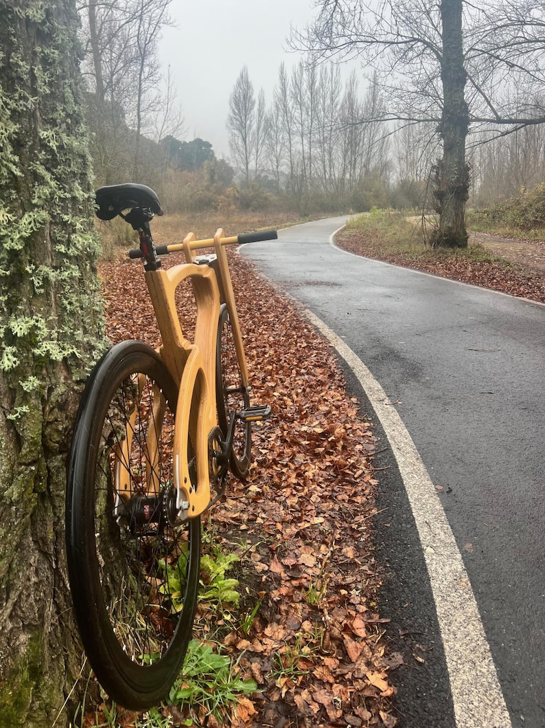 May include: A wooden bicycle with black tires and components leans against a tree. The bike has a unique frame design and is positioned next to a paved road with fall foliage. The scene is set outdoors on a cloudy day.