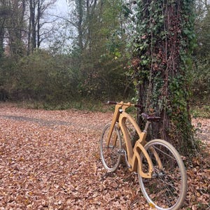 May include: A wooden bicycle with a unique frame design, leaning against a tree in a forest setting. The bike has light-colored tires and a brown leather seat. The ground is covered in fallen leaves.