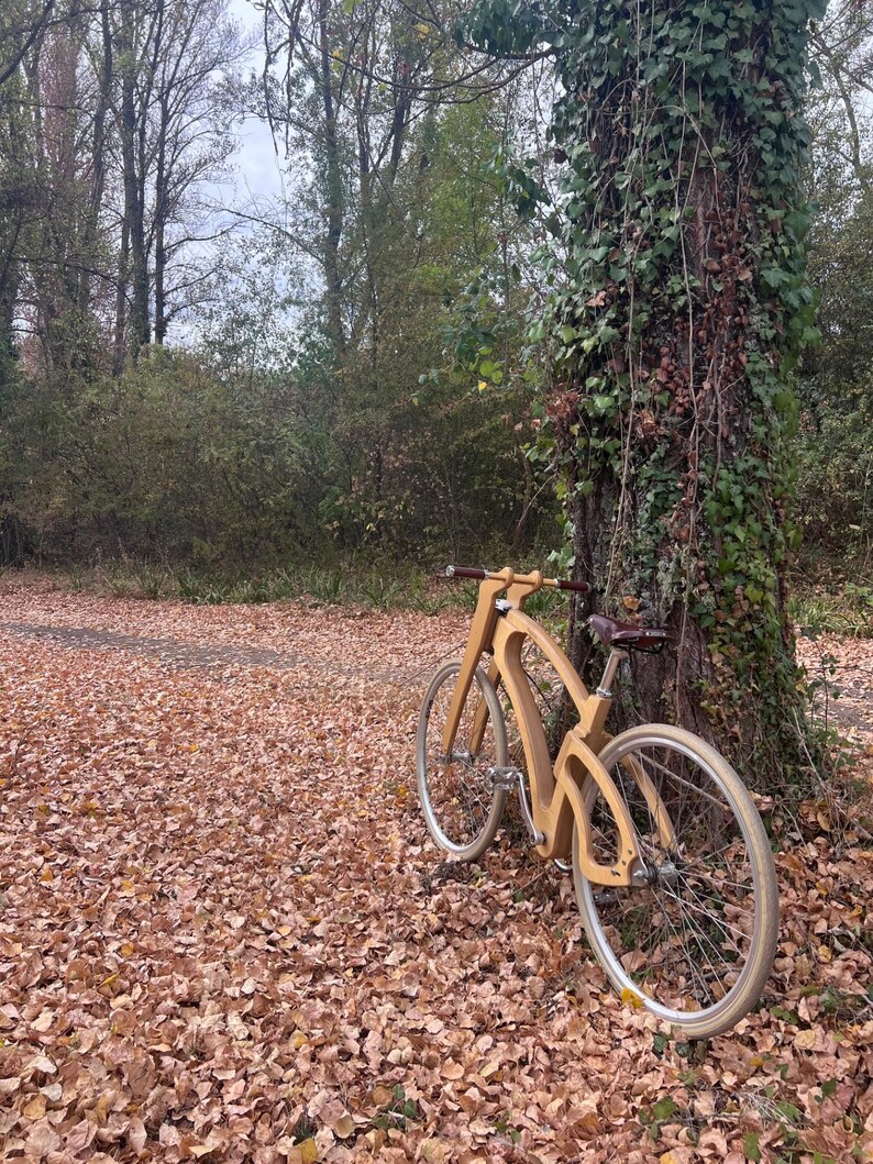 May include: A wooden bicycle with a unique frame design, leaning against a tree in a forest setting. The bike has light-colored tires and a brown leather seat. The ground is covered in fallen leaves.