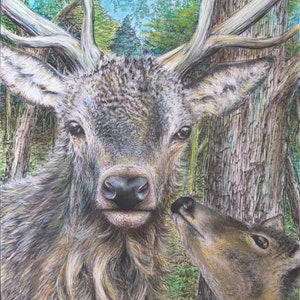 Stag art print, deer and calf print, stag in woods print, wildlife art, wall art, animal print, gift for her, birthday gift, unique gift