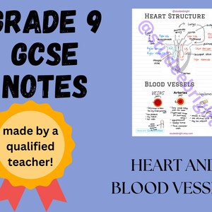 May include: A printable worksheet for Grade 9 GCSE students, featuring a diagram of the heart and blood vessels. The worksheet includes notes on the structure of the heart, veins, arteries, and capillaries. The text "HEART AND BLOOD VESSELS" is at the bottom of the page.