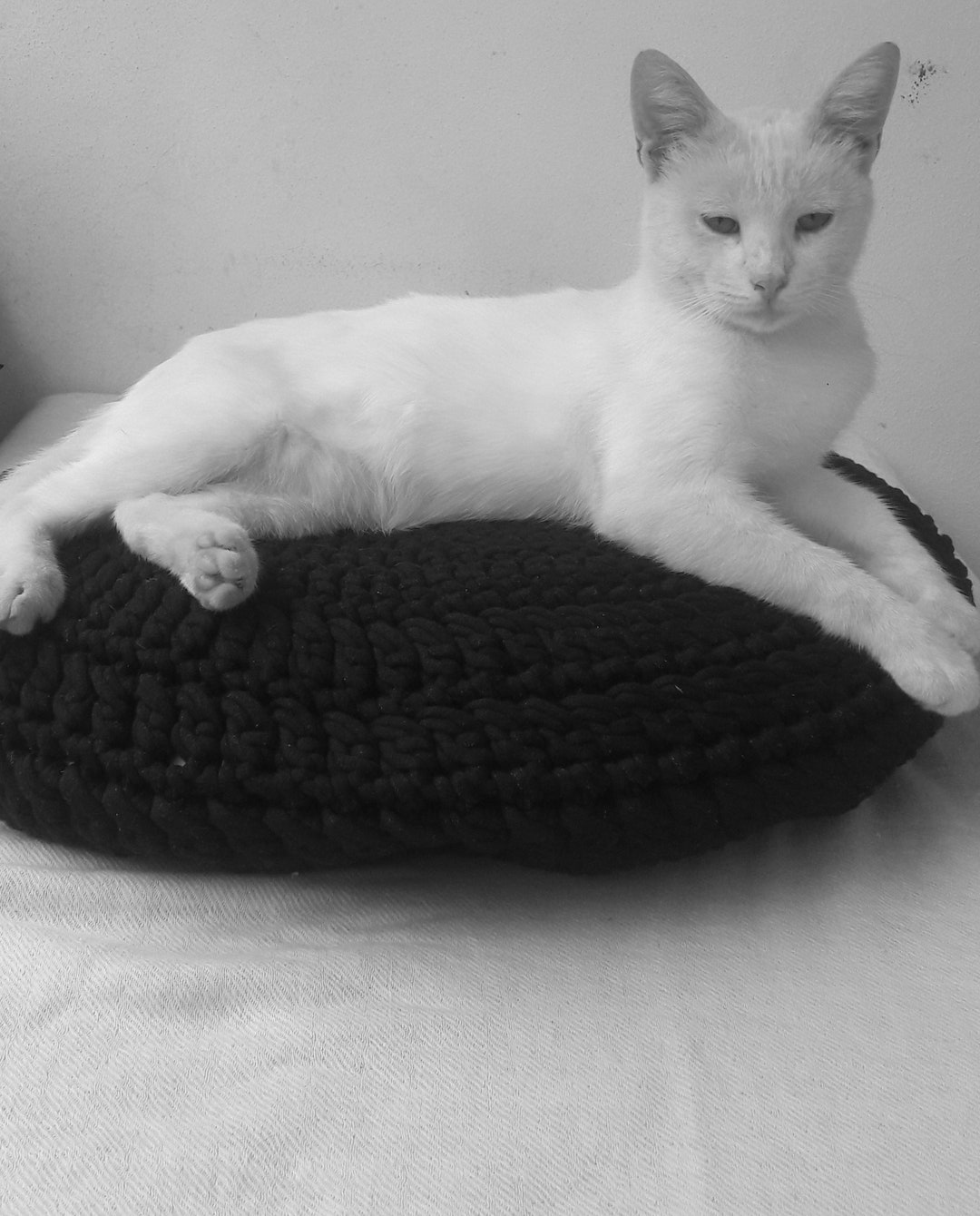 Washable Pet Bed Cover. Knitted Cotton Bedding for Cats and Dogs. Eco