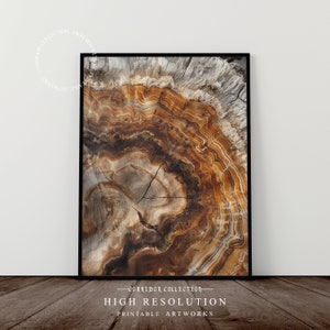 Impression de souche d’arbre gravée sur bois, art mural imprimable, impression minimaliste d’anneaux d’arbre, impression d’art de tranche d’arbre, téléchargement numérique | J-28