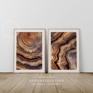 Impresión de rebanadas de árboles grabados en madera, conjunto de 2 arte de pared imprimible, impresión minimalista de anillos de árboles, impresión de arte de troncos de árboles, descarga digital / J-1