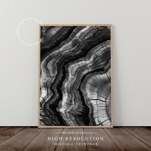 Impression abstraite de tranche d&#39;arbre, impression d&#39;art de bague d&#39;arbre, art mural imprimable tranche d&#39;arbre de gravure sur bois, impression de souche d&#39;arbre, décoration murale nature minimaliste, J16