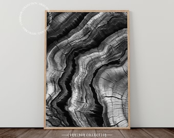 Abstract Tree Slice Print, Tree Ring Art Print, Woodcut Printable Tree Slice Wall Art, Tree Stump Print, Minimalist Nature Wall Decor, J16