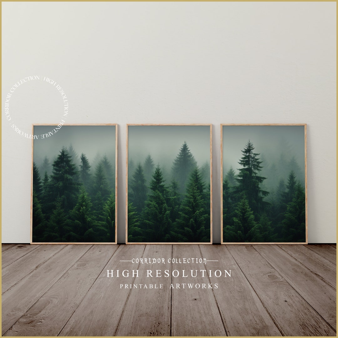 Foggy Forest Print, Set of 3 Forest Printable Wall Art, Misty Forest ...