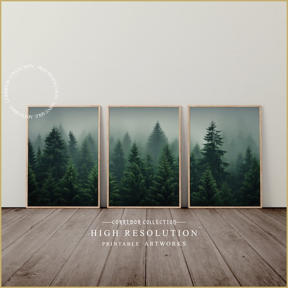 Foggy Forest Print, Set of 3 Forest Printable Wall Art, Misty Forest Wall Art, Coniferous Tree Landscape Photo, 3 Piece Green Forest Set D17