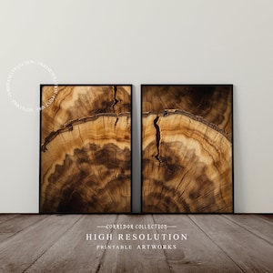 Könnte beinhalten: Zwei gerahmte Drucke einer Nahaufnahme eines Baumstammquerschnitts, die die Maserung und Ringe des Holzes zeigen. Das Holz ist eine Mischung aus hell- und dunkelbraunen Farben. Die Drucke sind mit "Corridor Collection High Resolution Printable Artworks" beschriftet.