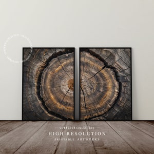 May include: Two framed prints of a close-up of a tree trunk's rings. The wood is a dark brown with lighter brown rings. The prints are set against a white wall and a wood floor.