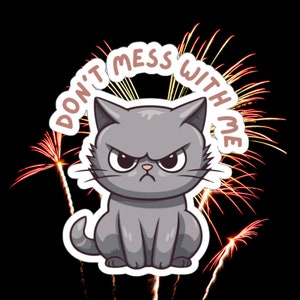 Lustige Katze Aufkleber für Katzenliebhaber Geschenk für Katzenliebhaber Geschenke für Freund Geschenk Angry Cat Grumpy Cats Aufkleber Niedliche Katzenaufkleber Leg dich nicht mit mir an