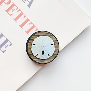 May include: A round, decorative object featuring a white sand dollar design set on a wooden-look background, framed by a black border. The object is placed on a light pink surface with the word "PETIT" in red letters.