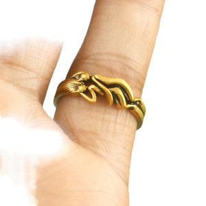 Könnte beinhalten: Goldfarbener Ring mit einem Design aus zwei ineinander verschlungenen Händen. Der Ring wird an einem Finger getragen.