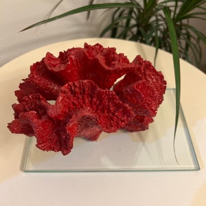 Frilly Coral, Colorfull Coral Ornament, Coastal Beach Home Decorative Coral Ocean Reef Statue, Housewarming Gift, Wedding Table Centerpiece