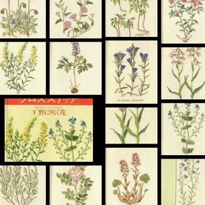Japanese Cross-Stitch Book / Wild Flowers, Gerda Bengtsson PDF format image 2