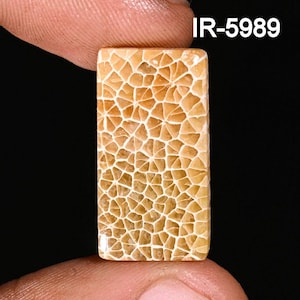 Natural Fossil Coral Cabochon - Smooth Fossil Coral - Loose Gemstone Cabochon - Handmade Fossil Coral Cabochon For Jewelry Making Supply