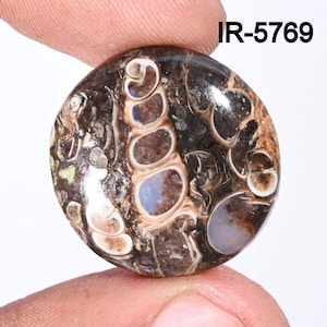 Turritella Agate Gemstone, Natural Designer Turritella fossilized Cabochon, Loose Gemstone Jewelry Making Supply, Healing Birthstone