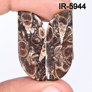 Natural Turritella Agate Gemstone Matching Pairs, Turritella fossilized Cabochon, Loose Gemstone Pairs-Jewelry Making Supply, DIY ARTS Craft