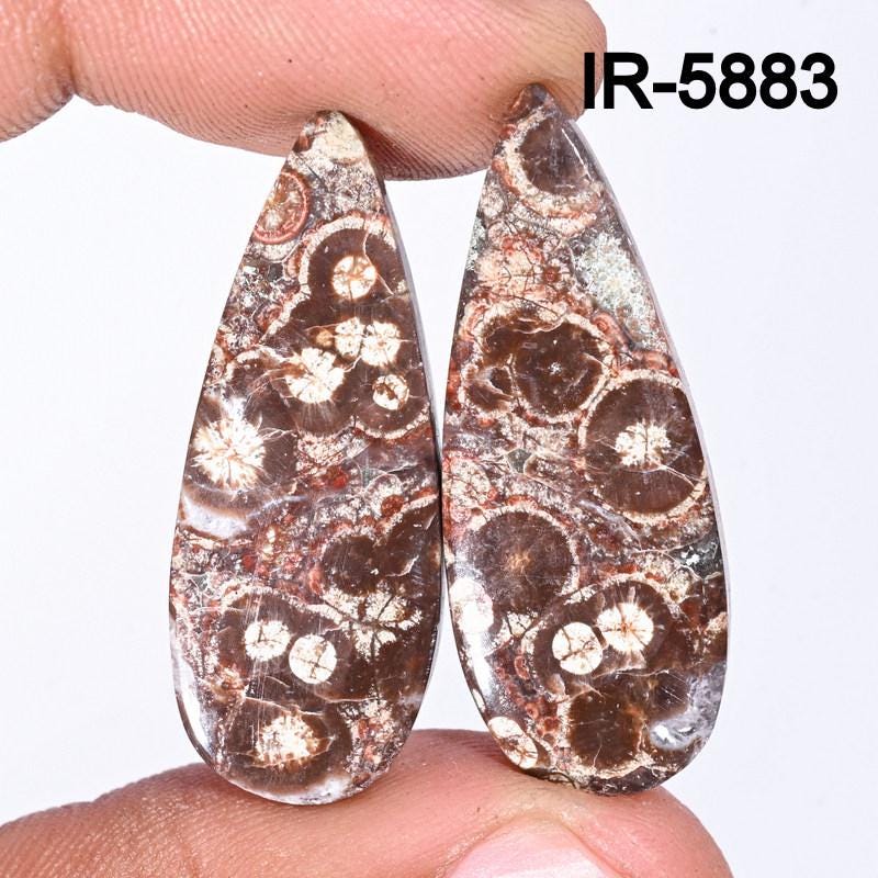Natural Crocodile Jasper Cabochon Pair – Flat Back Gemstone for