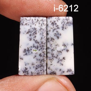 May include: Two rectangular, polished gemstones with a white base and intricate black and gray dendritic patterns. The gemstones are held between fingers against a black background. The text "i-6212" is in the upper right corner.