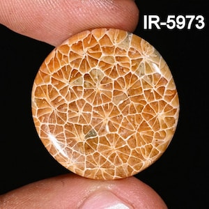 Natural Fossil Coral Cabochon - Smooth Fossil Coral - Loose Gemstone Cabochon - Handmade Fossil Coral Cabochon For Jewelry Making Supply