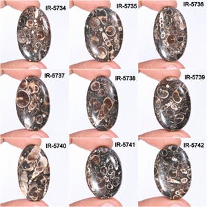 Turritella Agate Gemstone, Natural Designer Turritella fossilized Cabochon, Loose Gemstone Jewelry Making Supply, Healing Birthstone