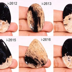 Könnte beinhalten: Sechs ovale und tropfenförmige Cabochons aus schwarzem und braunem Achat mit weißen und braunen Mustern. Die Steine sind mit den Produktcodes i-2612, i-2613, i-2614, i-2615, i-2616 gekennzeichnet.