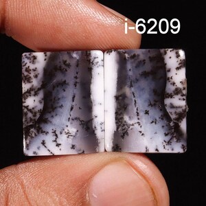 May include: Two white and black agate cabochons with dendritic patterns. The cabochons are rectangular and have a smooth, polished surface. i-6209