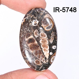 Turritella Agate Gemstone, Natural Designer Turritella fossilized Cabochon, Loose Gemstone Jewelry Making Supply, Healing Birthstone