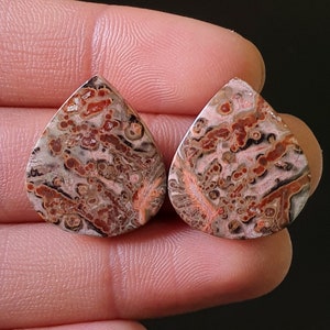 Natürliche Leopard Haut Jaspis Cabochon - Glatte polierte Cabochon - Leopard Haut Jaspis Kristall für Schmuck machen Ohrring 22x20x4mm. Jh. 27Ct