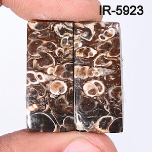 Natural Turritella Agate Gemstone Matching Pairs, Turritella fossilized Cabochon, Loose Gemstone Pairs-Jewelry Making Supply, DIY ARTS Craft