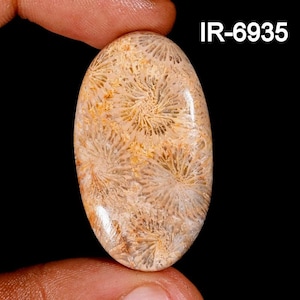 Einzigartiger fossiler Korallenedelstein, lose Cabochons, natürliche polierte Steine für Anhänger oder Schmuckherstellung, schönes Geschenk für sie