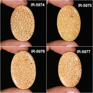 Natural Fossil Coral Cabochon - Smooth Fossil Coral - Loose Gemstone Cabochon - Handmade Fossil Coral Cabochon For Jewelry Making Supply