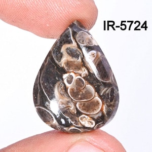 Turritella Agate Gemstone, Natural Designer Turritella fossilized Cabochon, Loose Gemstone Jewelry Making Supply, Healing Birthstone